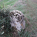 20181105_155602