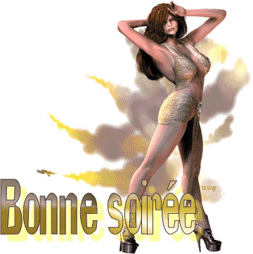 bonne soirée6