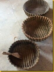 IMG_2505 IMG_2505