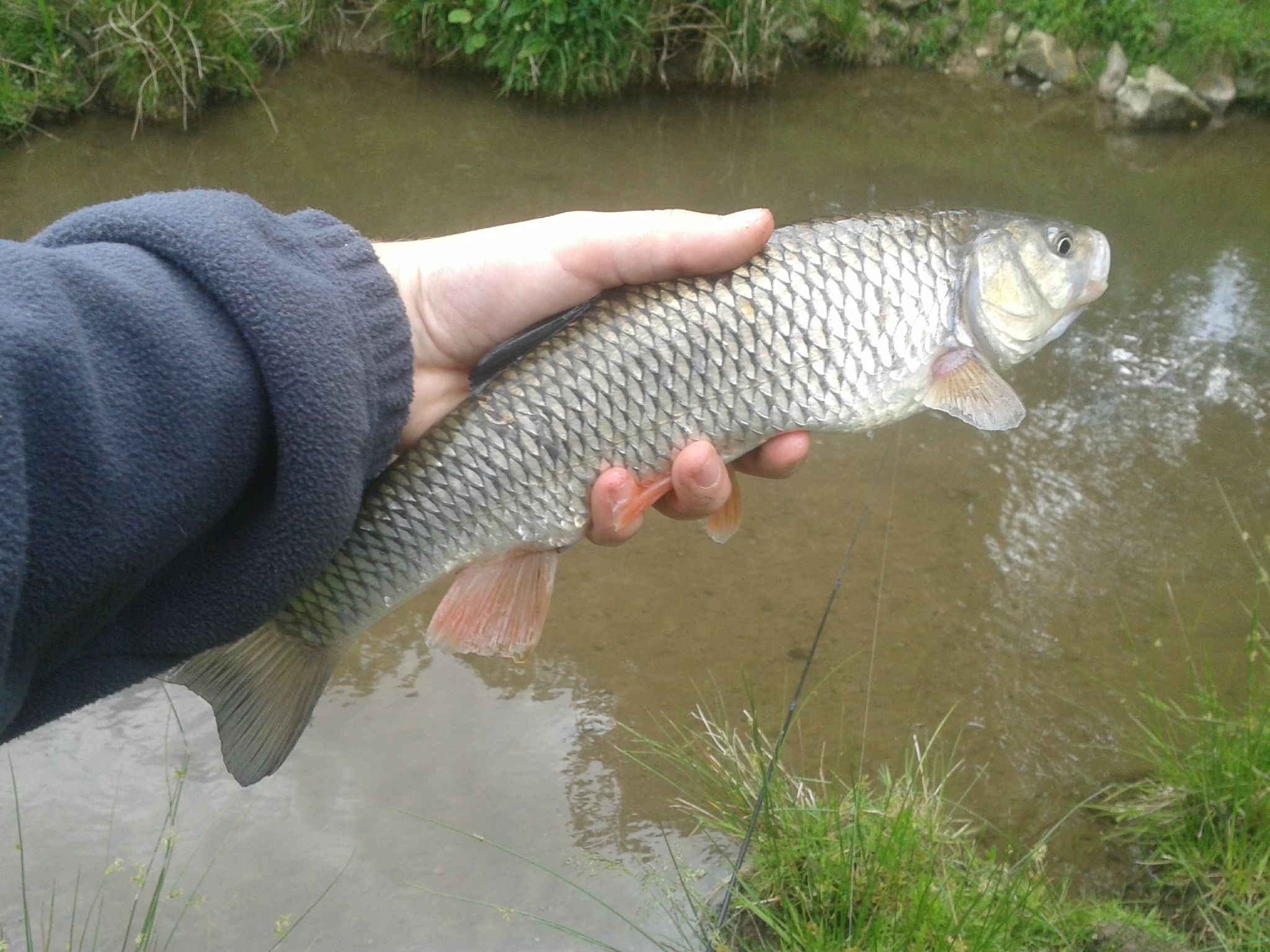 peche truite 06