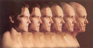 évolution human