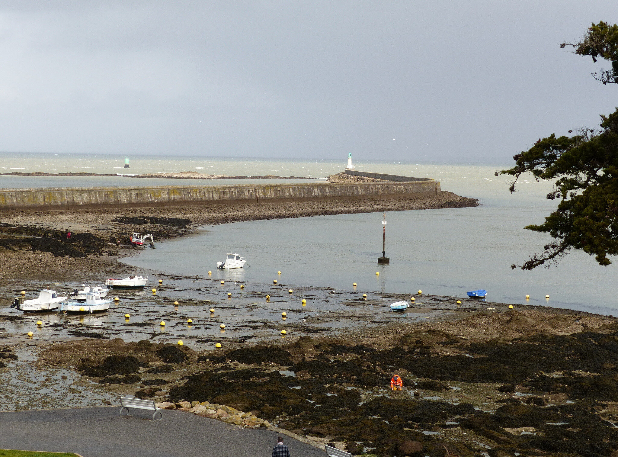 Marais salants de Guérande — Wikipédia