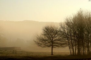IMG_63285