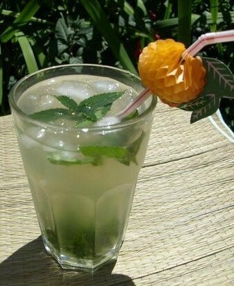 Mojito Sans Alcool Au Gingembre La Cuisine De Quat Sous