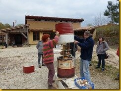 P1100429 P1100429