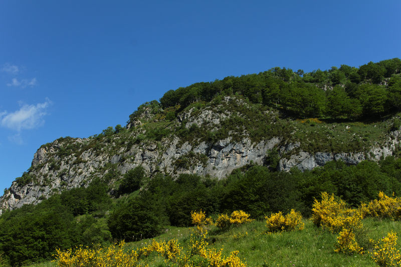 IMG_3540_DxO