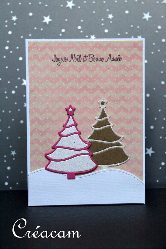 CSA Noël en Couleurs Défi Rose n°2
