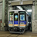 Nankai 10000, Chiyoda depôt.