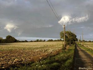 IMG_11343C