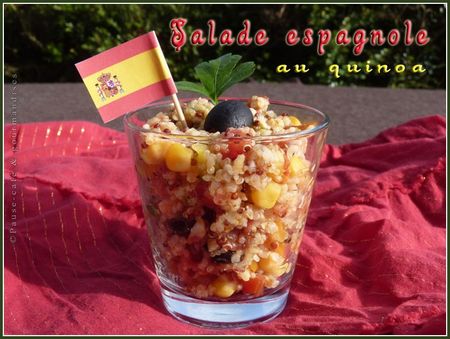 salade_espagnole_au_quinoa__41_