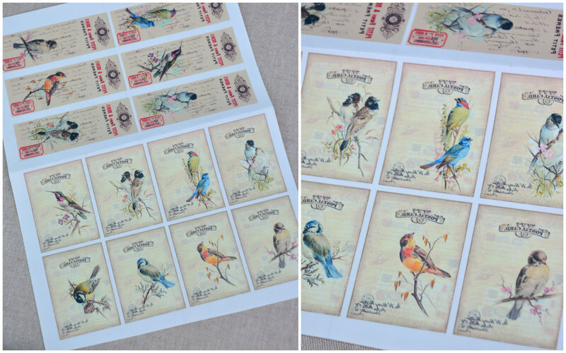étiquettes oiseaux