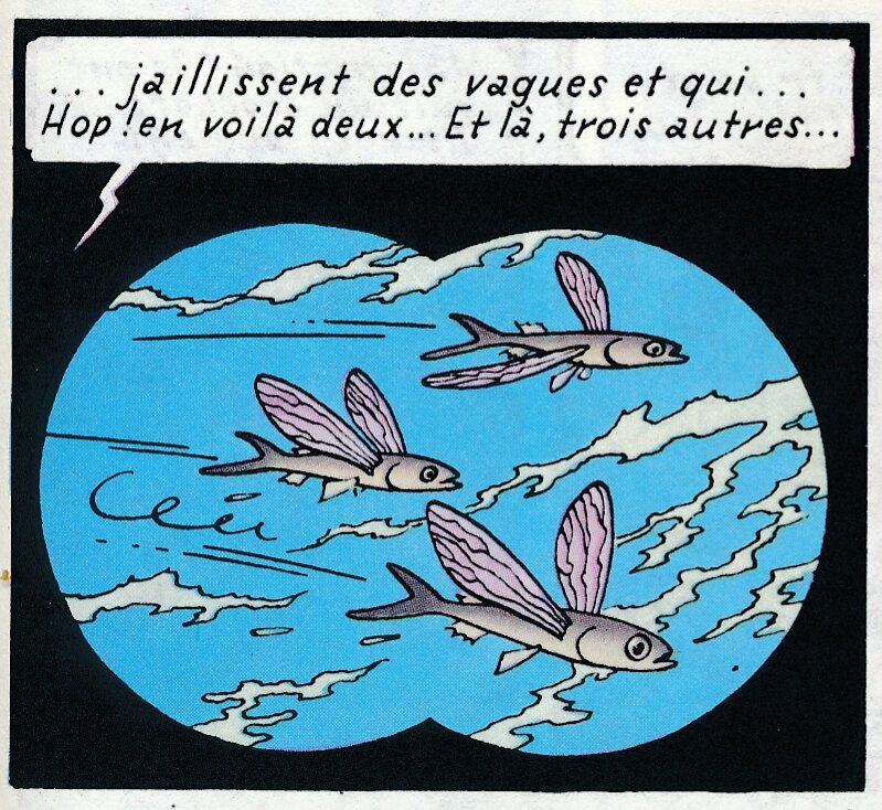 AEV 1516-23 Tintin 01
