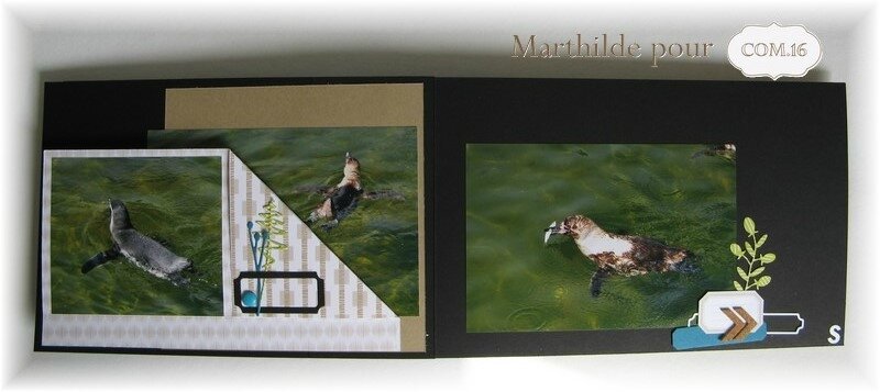 marthilde_pour_com16_manchots10_adam