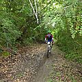 camins (10)