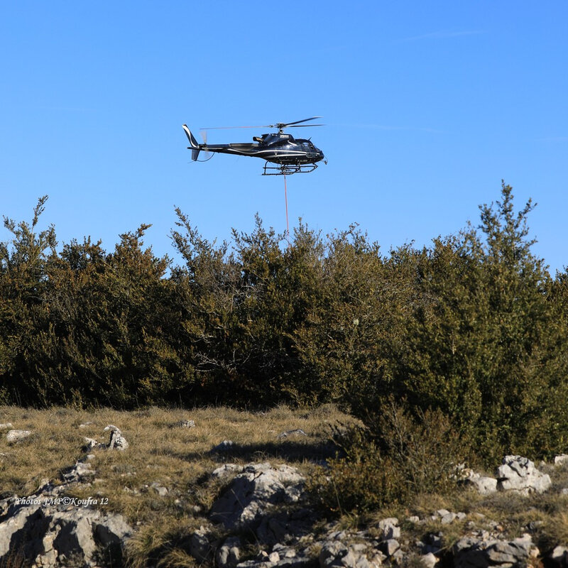 Photos JMP©Koufra 12 - La Couvertoirade - Hélicoptère - 26022019 - 0341