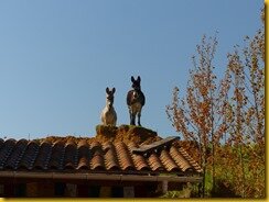 P1110299 P1110299