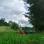 2012-07-2933