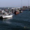 Aveiro-08
