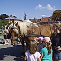 _IGP6278