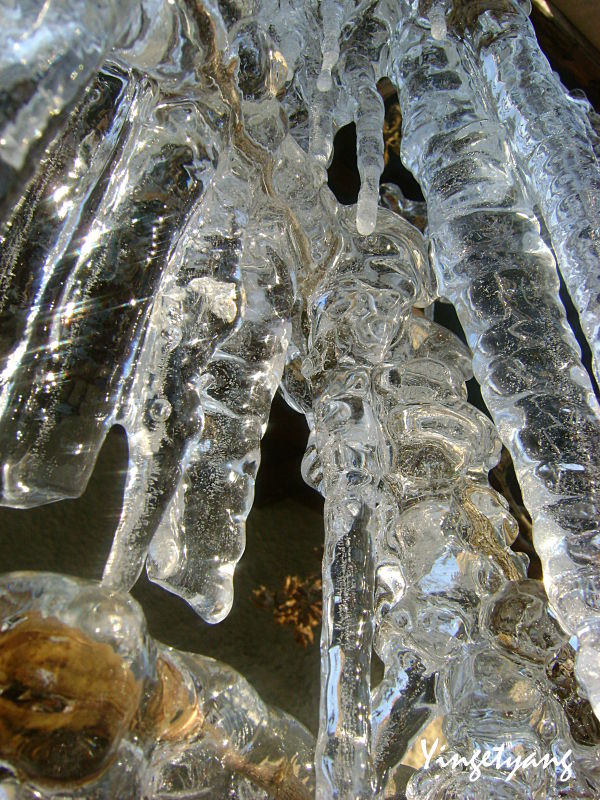 Gel_DSC06433___Copie