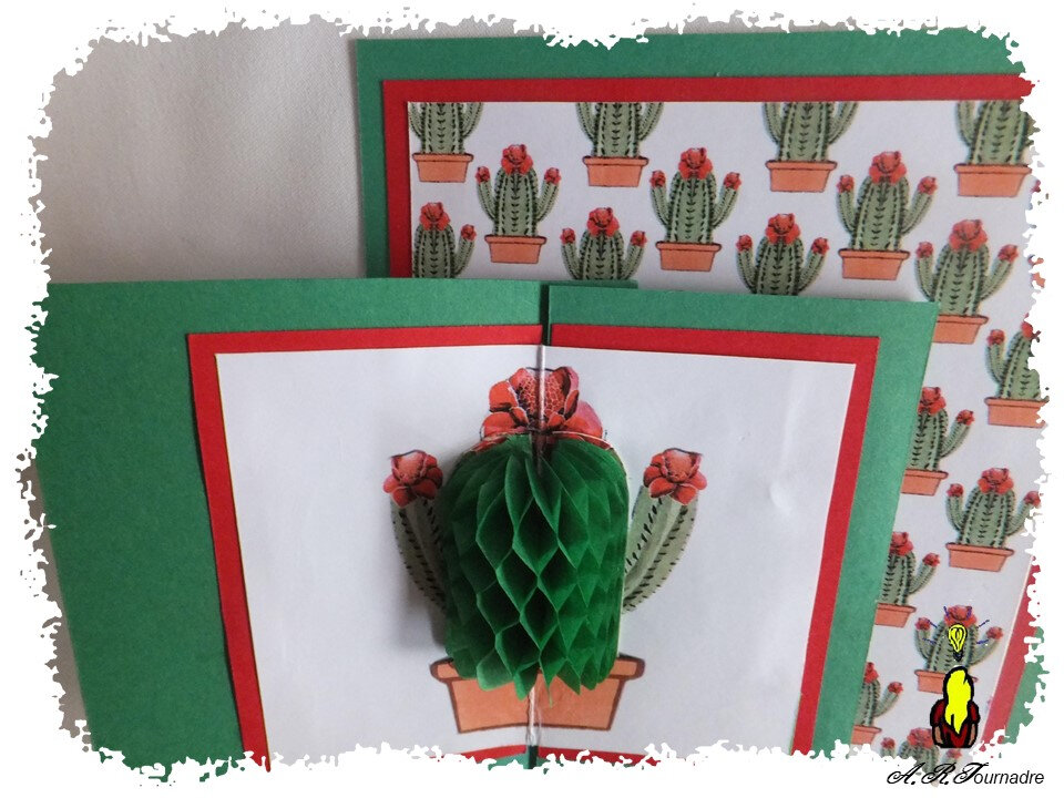 ART 2019 10 cactus NIDA 3