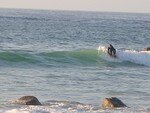 DSCN4192