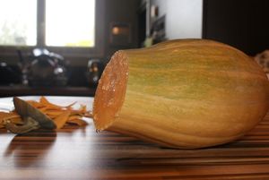 courge_butternut_coup_e