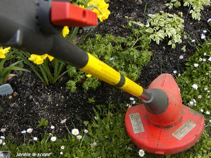 L'usage d'une tronçonneuse n'est pas sans risques…! - Le JardinOscope coté  pratique, les bons gestes à faire au jardin