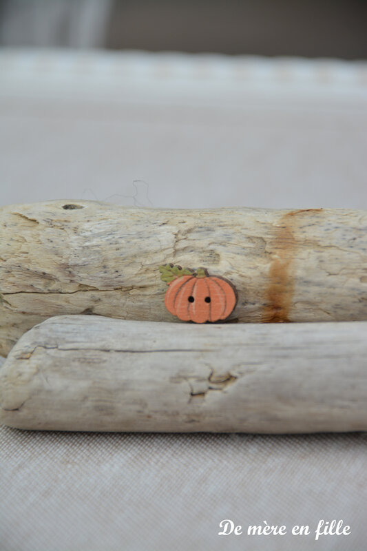 citrouille