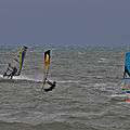 IMG_7611