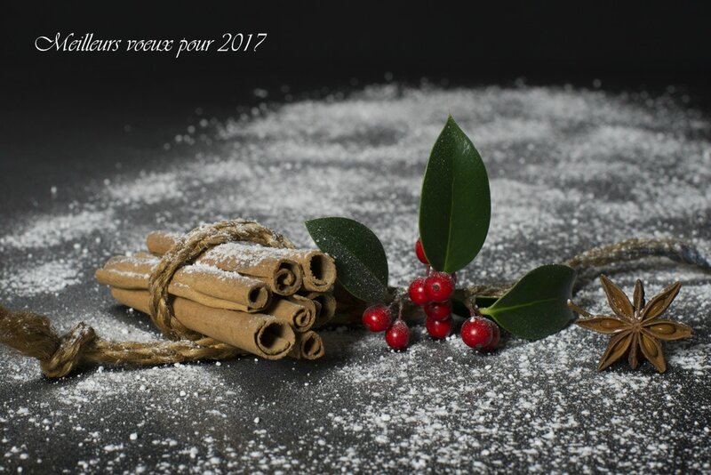 voeux 2017