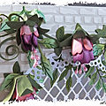 ART 2019 01 fuchsias 2