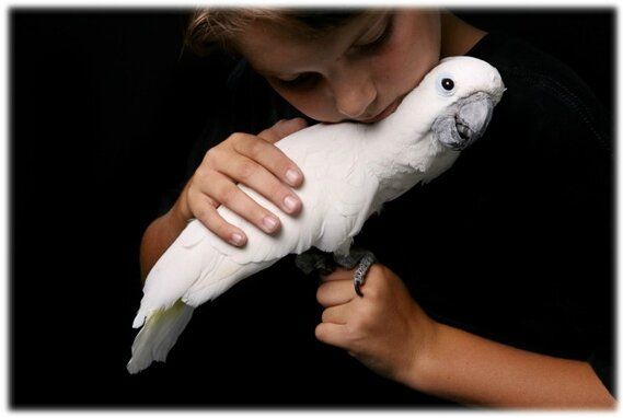 enfant deuil (5)