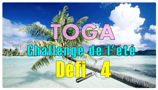 challenge de l'été 2015 TOGA D2F4