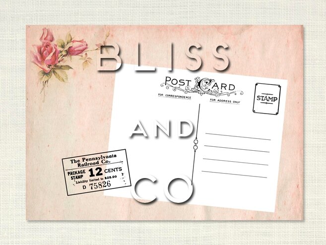 Transfert tissu textile Bliss and Co n°9
