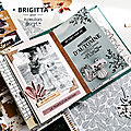 Un mini album par brigitta