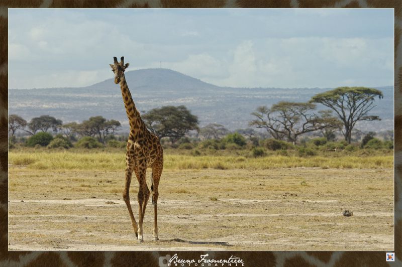 Kenya 6b
