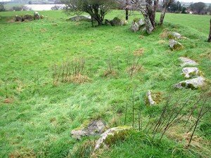 Castelruddery__13_a