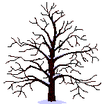 arb_plante_058
