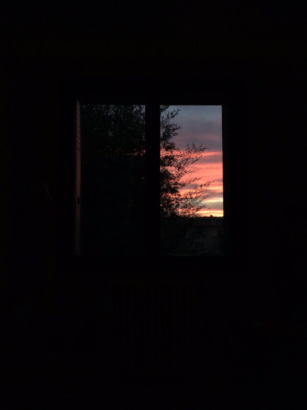 231220