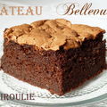 Bellevue : gâteau au chocolat mousseux #1 de c. felder