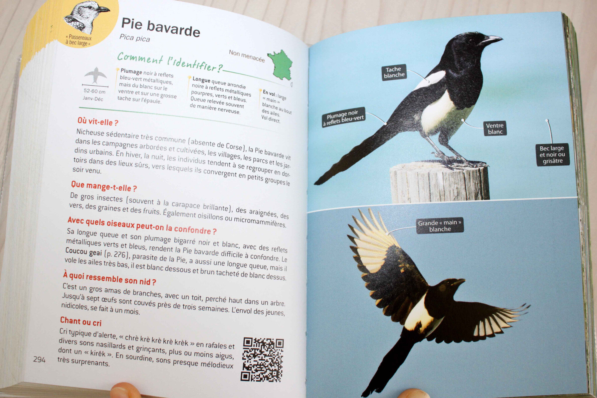 Lindispensable Guide Des Oiseaux Des Empreintes Animales