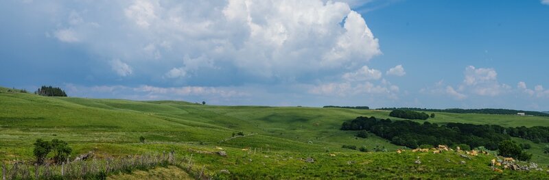 AUbrac paysage-1