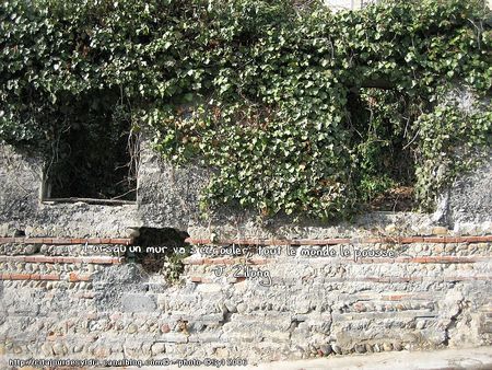 s_IMG_0626