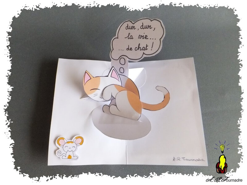 Petit Chat Pop Up Court Apres Souris Les Passions D Art