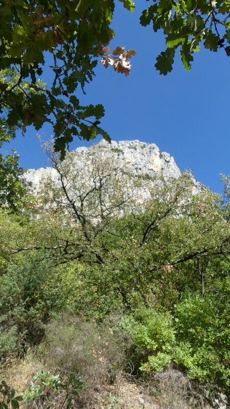 P1070444 - Copie