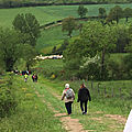 IMG_0135