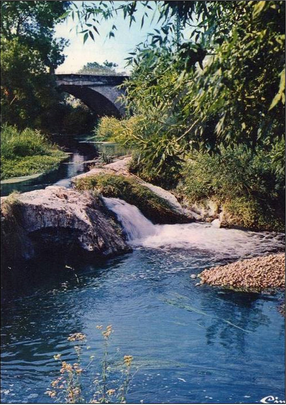 Notre rivière : la Nartuby