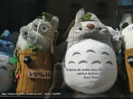 IMG_7205_2007