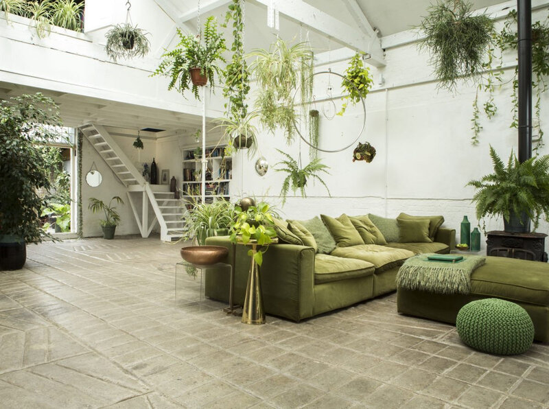 velours vert et plantes vertes (3)